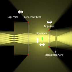 Transmission Light Microscope