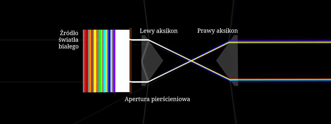Para aksikonów tworzących tęczowy pierścień
